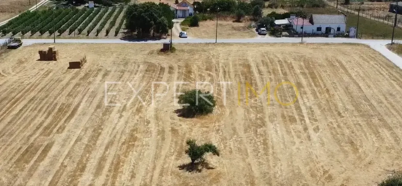 Terreno para Venda em Poceirão e Marateca Foto 2