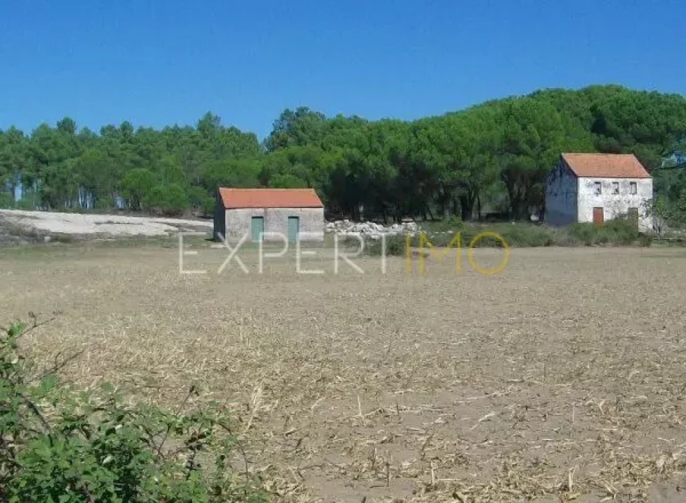 Quinta T0 para Venda em Tourais e Lajes Foto 12