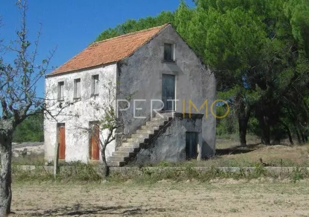Quinta T0 para Venda em Tourais e Lajes Foto 14