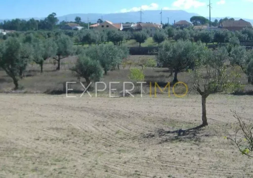 Quinta T0 para Venda em Tourais e Lajes Foto 15