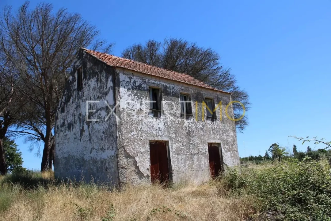 Quinta T0 para Venda em Tourais e Lajes Foto 24