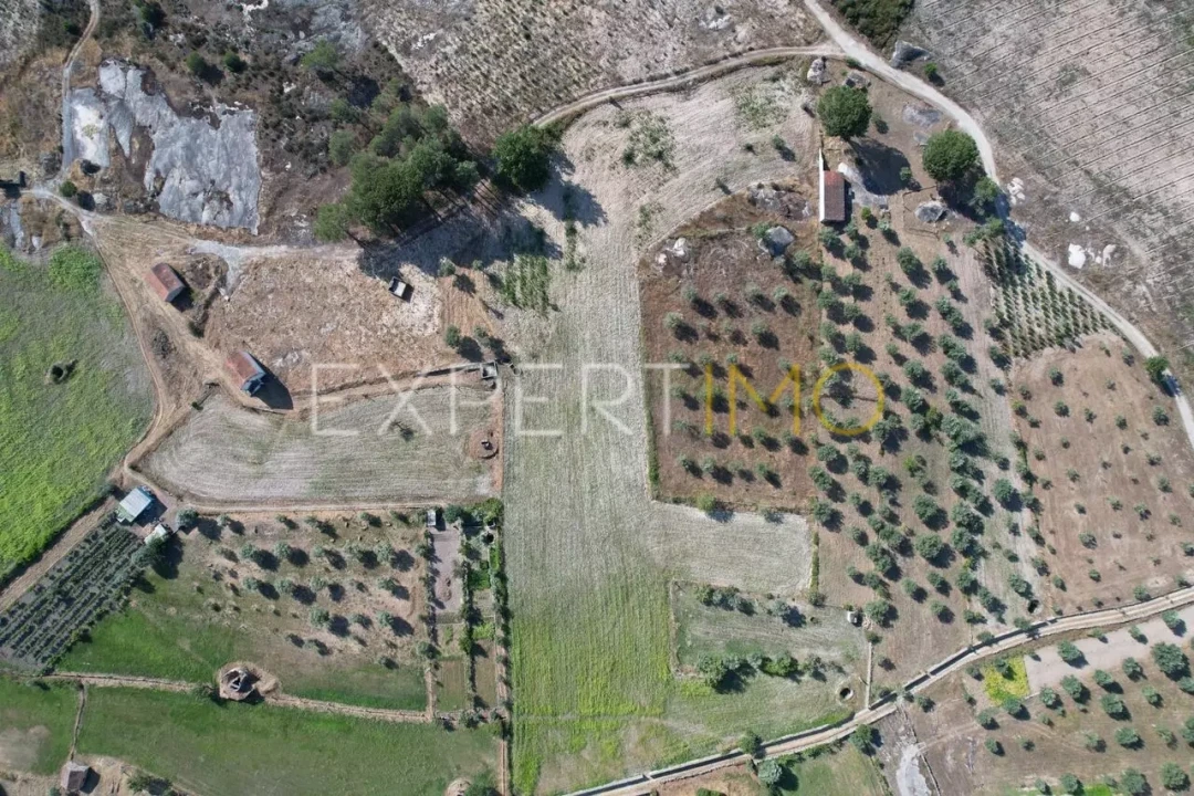 Quinta T0 para Venda em Tourais e Lajes Foto 4