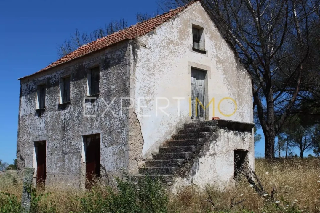 Quinta T0 para Venda em Tourais e Lajes Foto 7