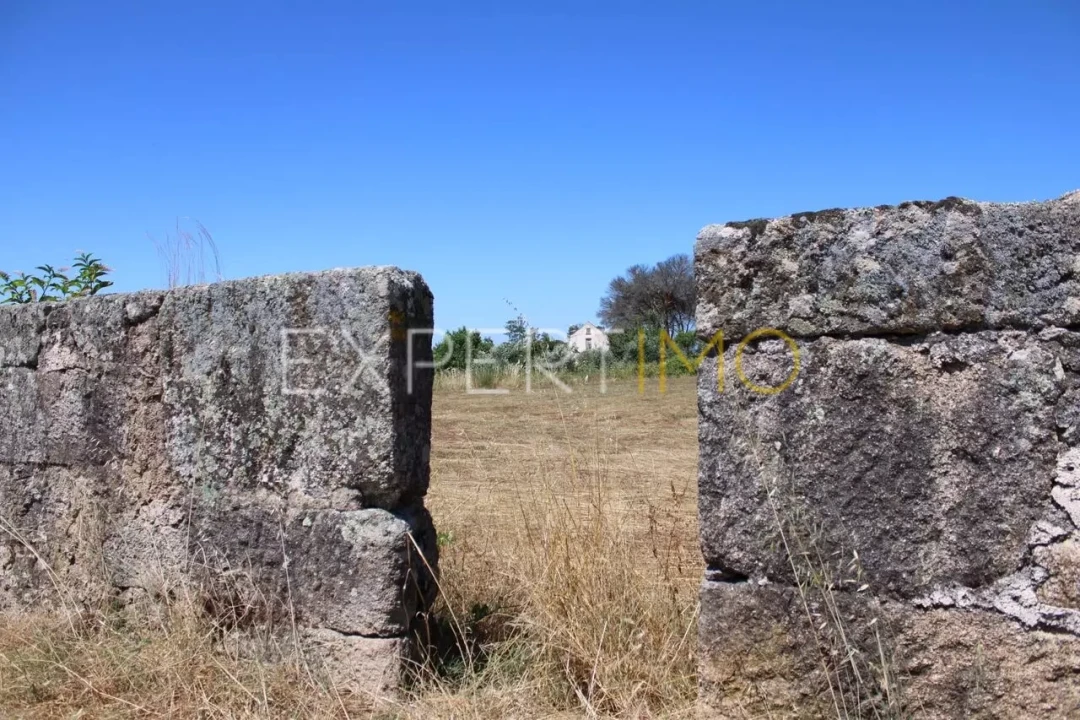 Quinta T0 para Venda em Tourais e Lajes Foto 8