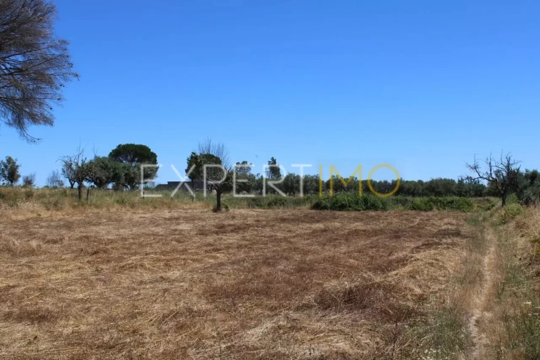 Quinta T0 para Venda em Tourais e Lajes Foto 10