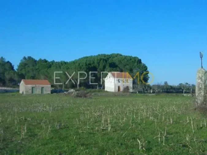 Quinta T0 para Venda em Tourais e Lajes Foto 13