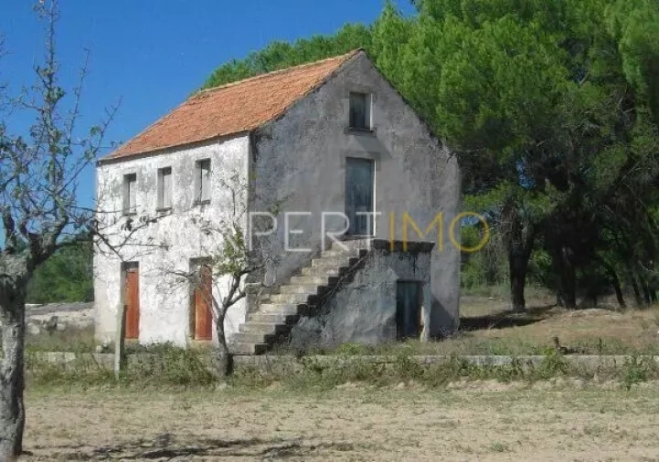 Quinta T0 para Venda em Tourais e Lajes Foto 14