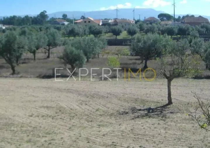 Quinta T0 para Venda em Tourais e Lajes Foto 15
