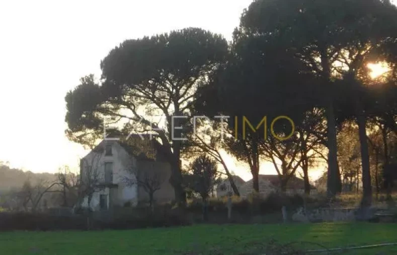 Quinta T0 para Venda em Tourais e Lajes Foto 18