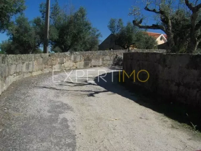 Quinta T0 para Venda em Tourais e Lajes Foto 19