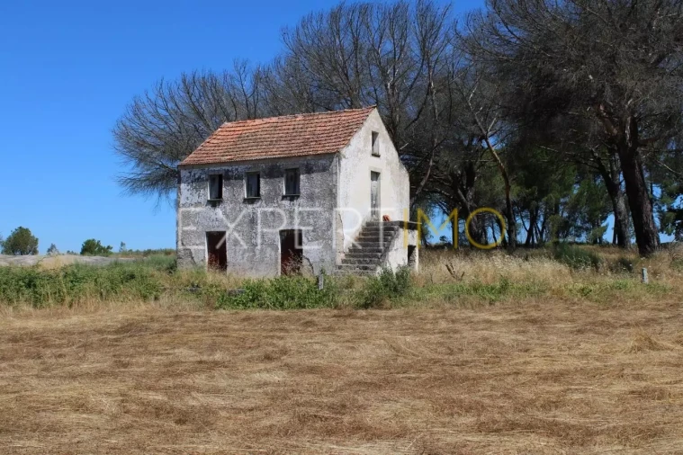 Quinta T0 para Venda em Tourais e Lajes Foto 21