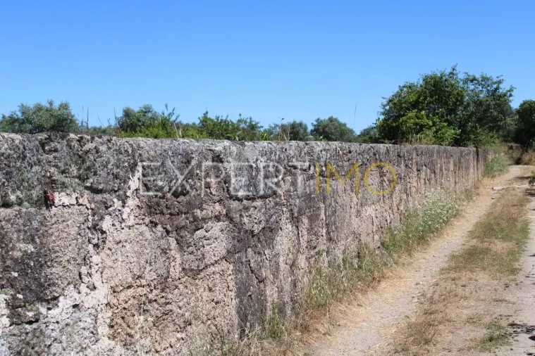 Quinta T0 para Venda em Tourais e Lajes Foto 22