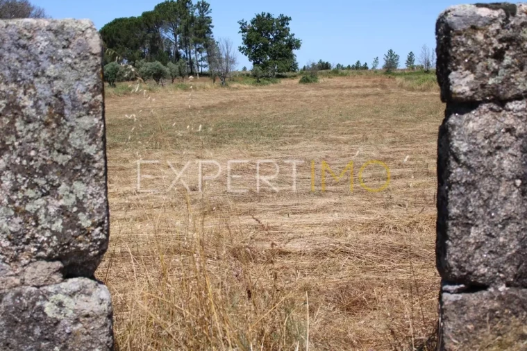 Quinta T0 para Venda em Tourais e Lajes Foto 23
