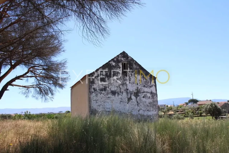 Quinta T0 para Venda em Tourais e Lajes Foto 25