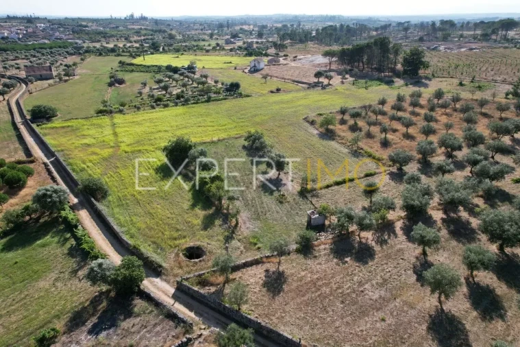 Quinta T0 para Venda em Tourais e Lajes Foto 3