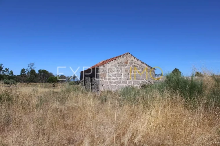 Quinta T0 para Venda em Tourais e Lajes Foto 6