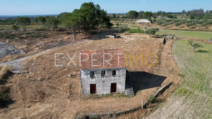 Quinta T5 para Venda em Tourais e Lajes