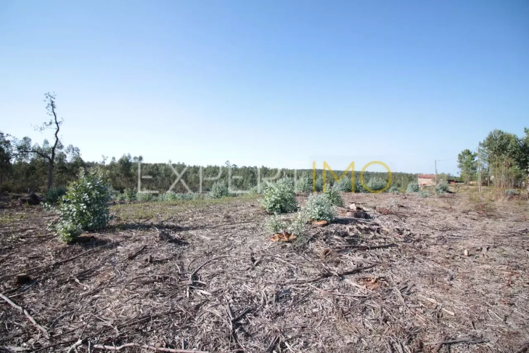 Terreno para Venda em Marrazes e Barosa Foto 3