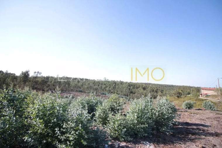 Terreno para Venda em Marrazes e Barosa Foto 4