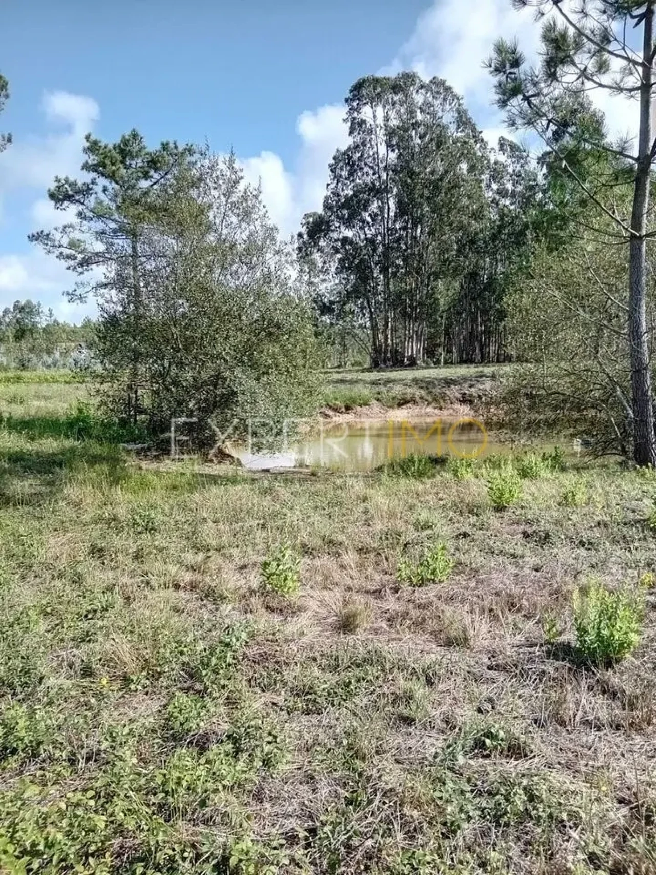 Terreno para Venda em Pataias e Martingança Foto 4