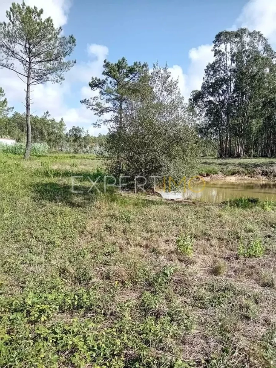 Terreno para Venda em Pataias e Martingança Foto 2