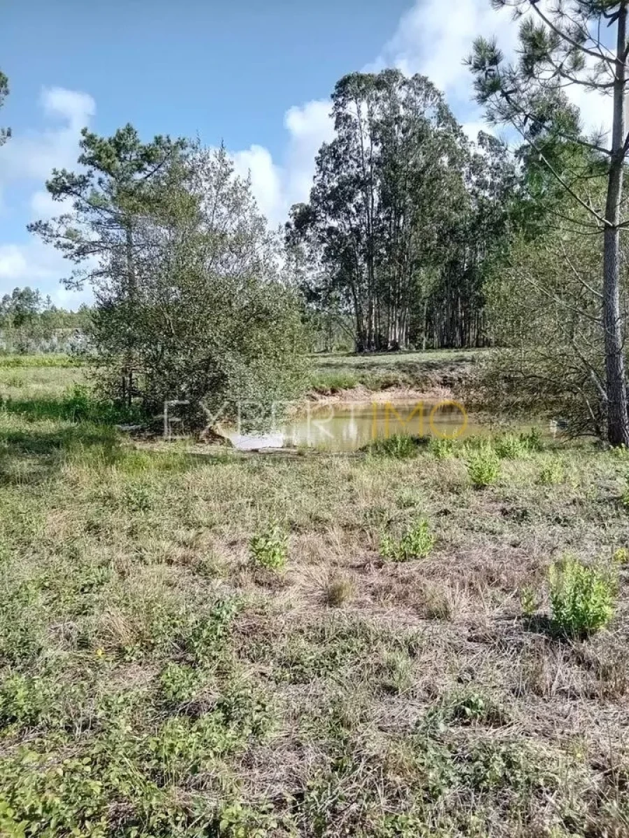 Terreno para Venda em Pataias e Martingança Foto 3