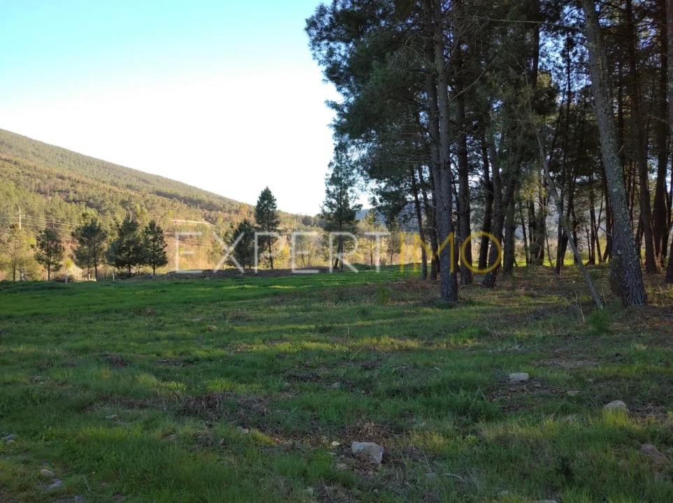 Terreno para Venda em Valhelhas Foto 15