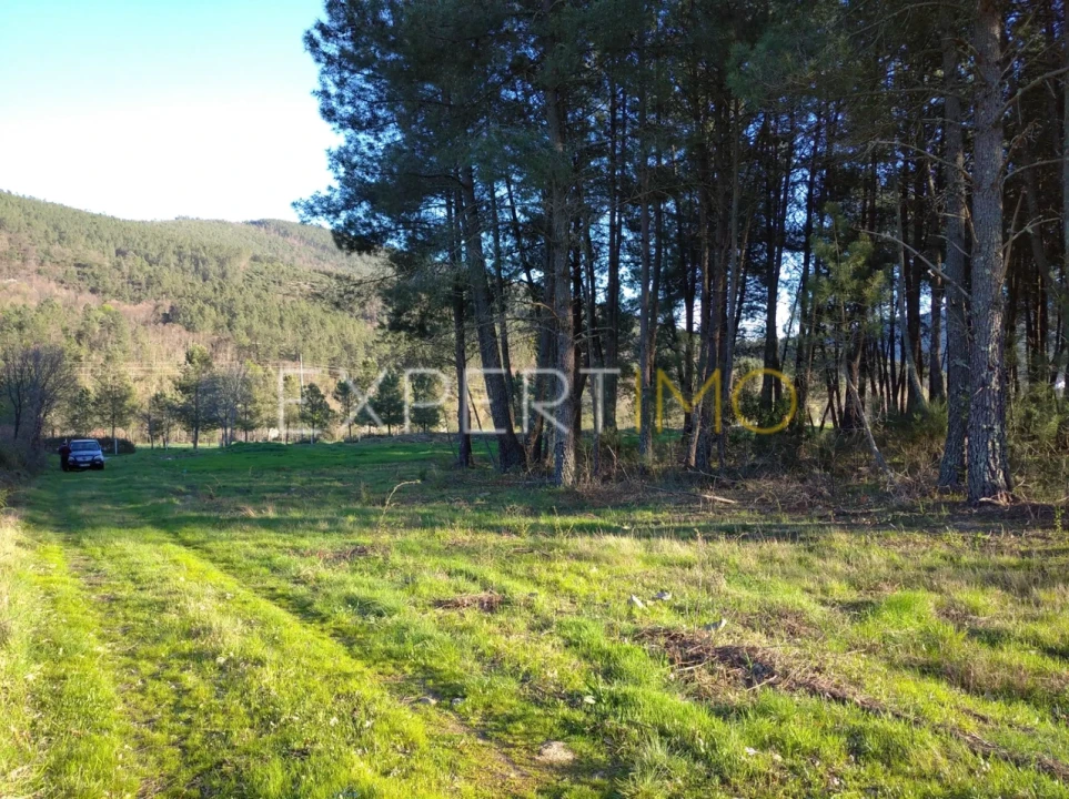 Terreno para Venda em Valhelhas Foto 3