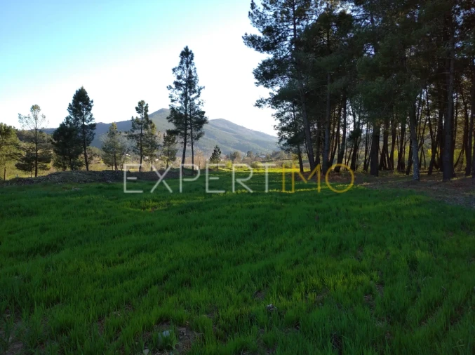 Terreno para Venda em Valhelhas Foto 10