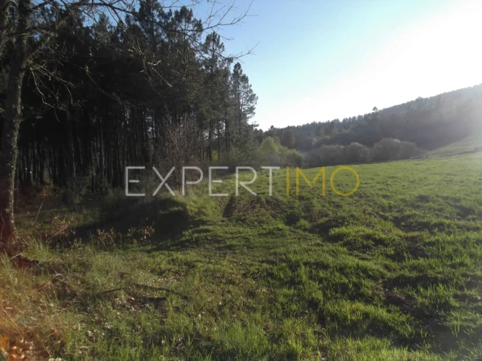 Terreno para Venda em Valhelhas Foto 13