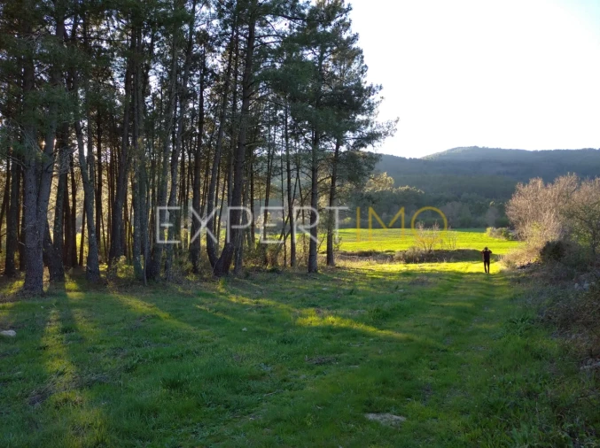 Terreno para Venda em Valhelhas Foto 14