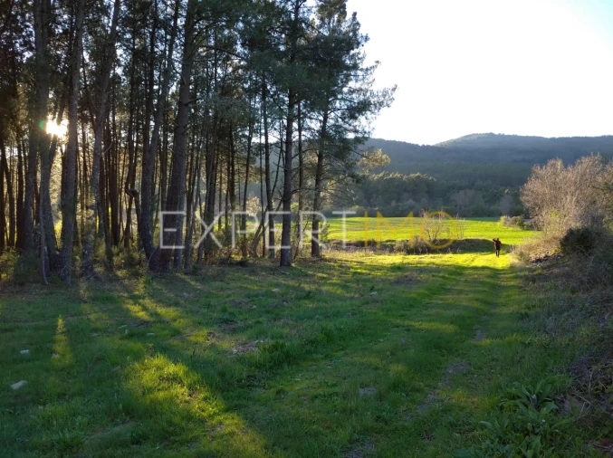 Terreno para Venda em Valhelhas Foto 5