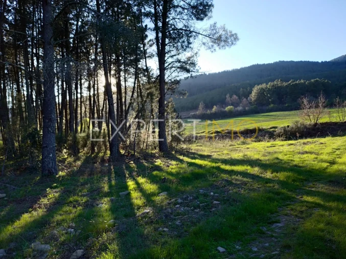 Terreno para Venda em Valhelhas Foto 7