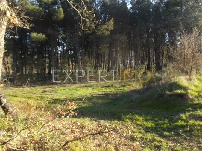 Terreno para Venda em Valhelhas Foto 8