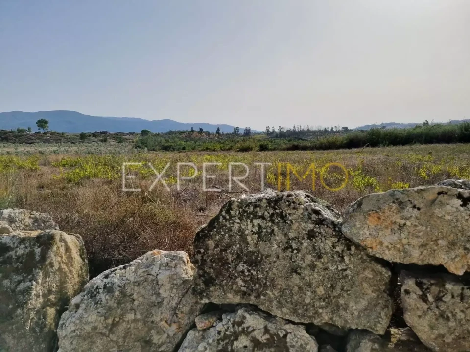 Terreno para Venda em Moimenta da Serra e Vinhó Foto 2