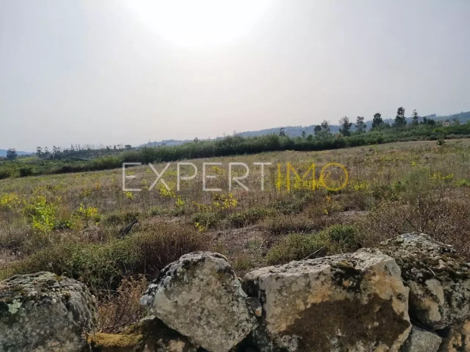 Terreno para Venda em Moimenta da Serra e Vinhó Foto 7