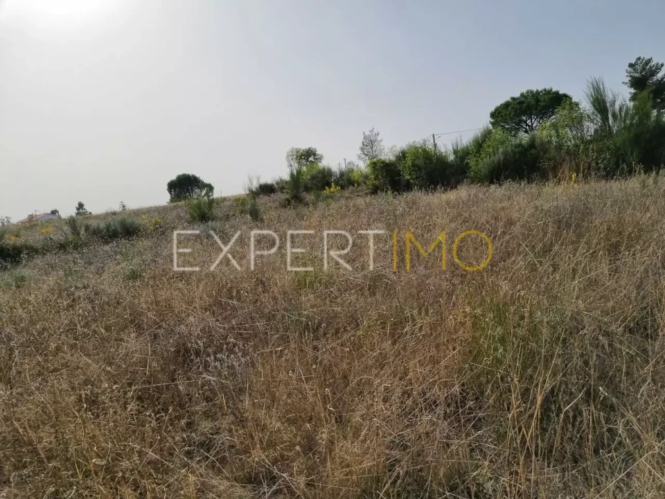 Terreno para Venda em Moimenta da Serra e Vinhó Foto 8