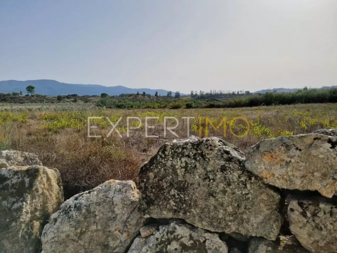 Terreno para Venda em Moimenta da Serra e Vinhó Foto 2
