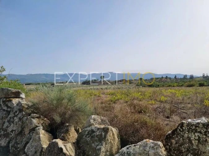 Terreno para Venda em Moimenta da Serra e Vinhó Foto 3