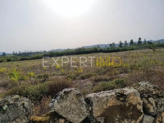 Terreno para Venda em Moimenta da Serra e Vinhó Foto 7