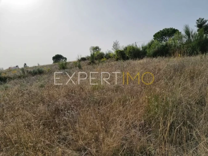 Terreno para Venda em Moimenta da Serra e Vinhó Foto 8