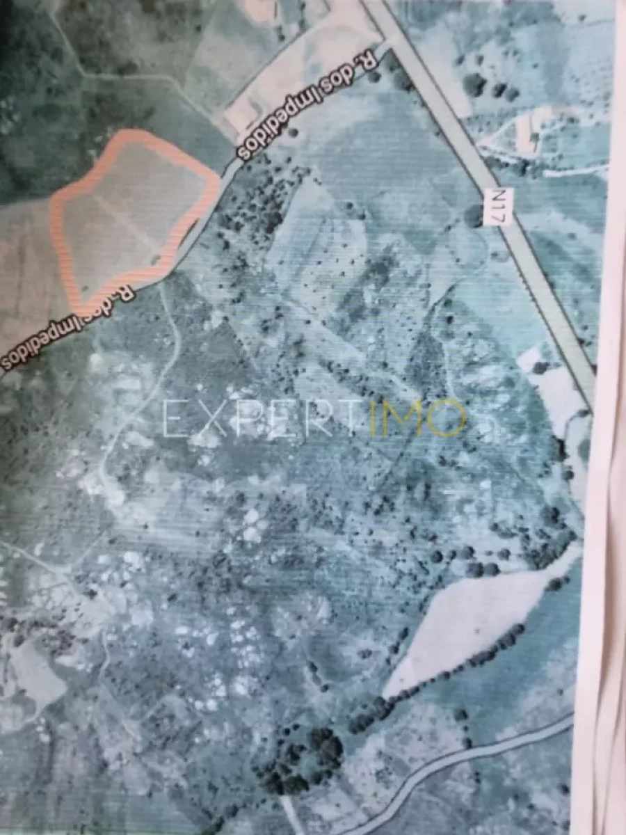 Terreno para Venda em Moimenta da Serra e Vinhó Foto 9