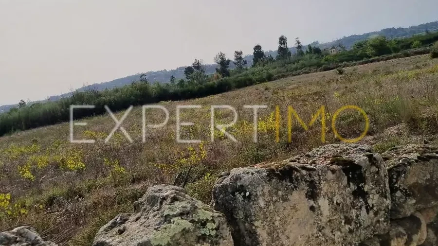 Terreno para Venda em Moimenta da Serra e Vinhó