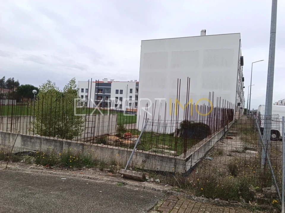 Terreno para Venda em Pereira Foto 2