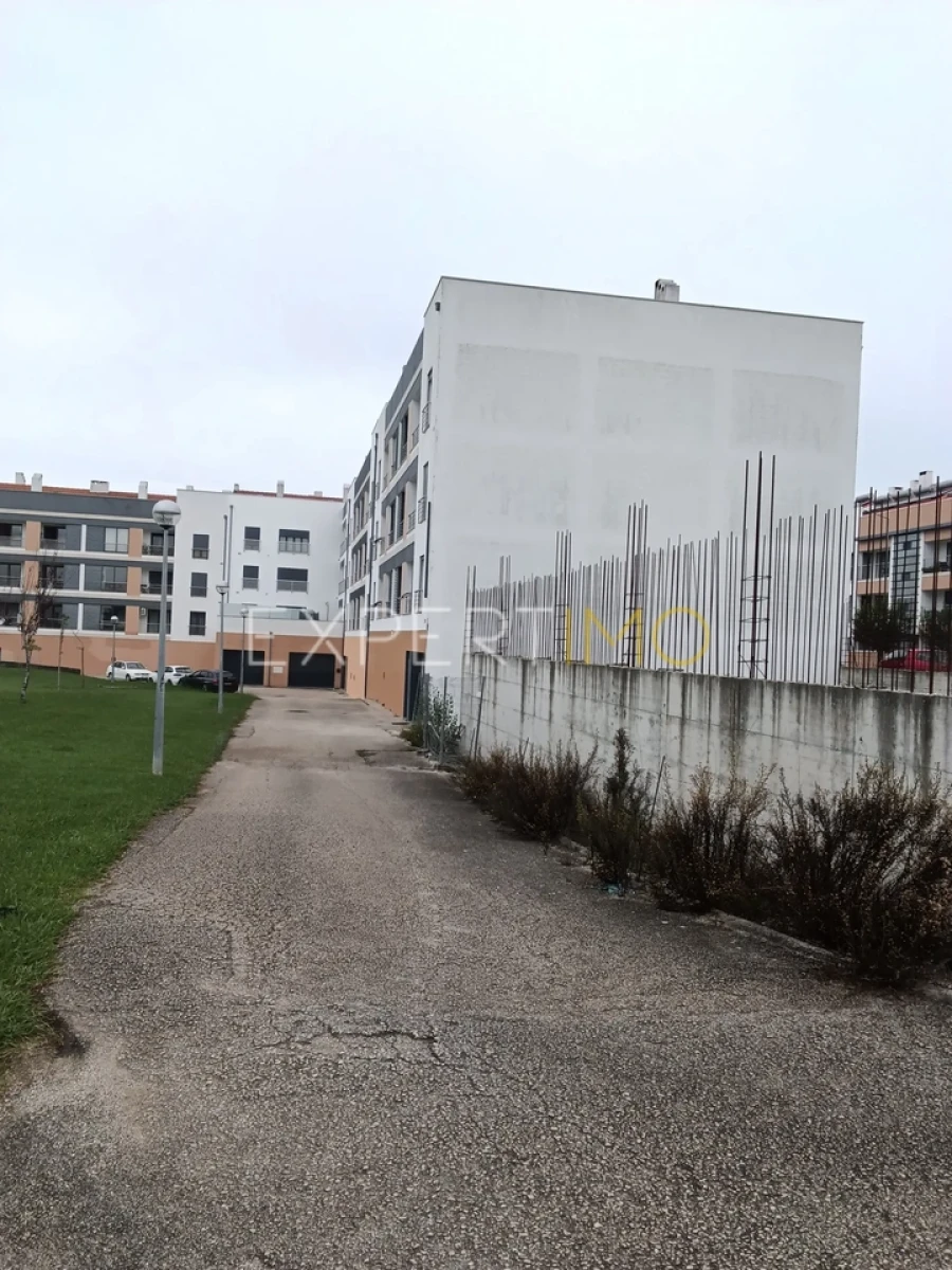 Terreno para Venda em Pereira Foto 4