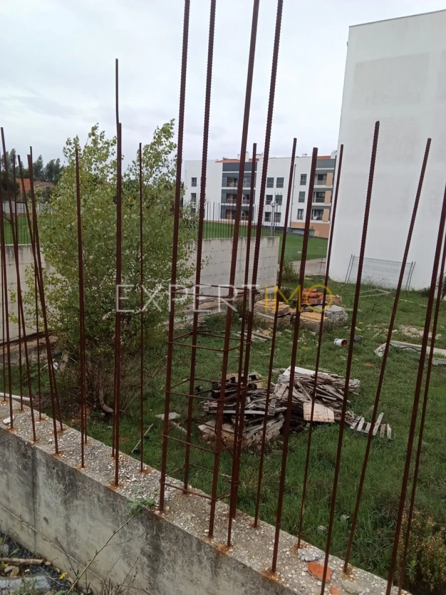 Terreno para Venda em Pereira Foto 6