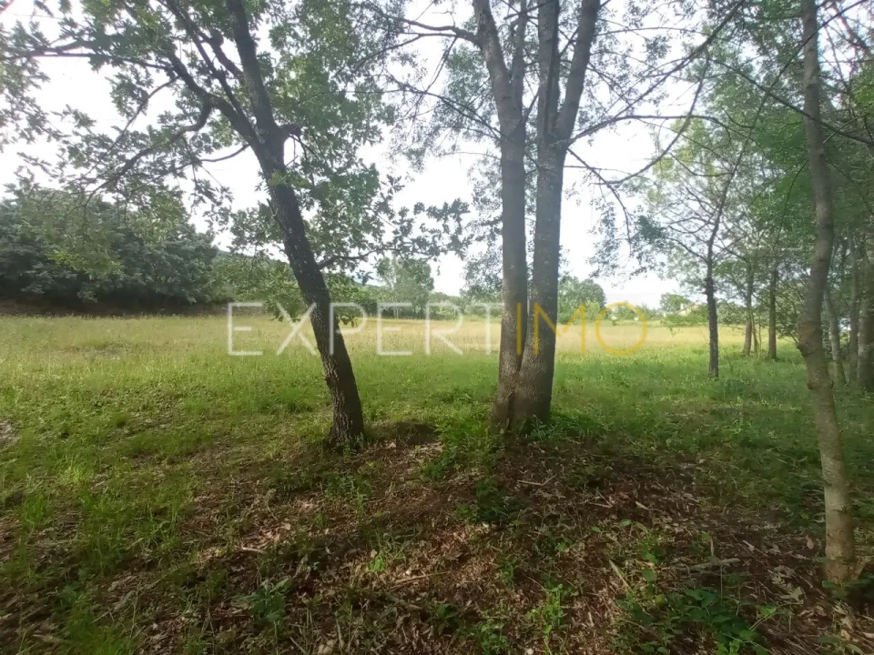 Quinta T2 para Venda em Gonçalo Foto 15