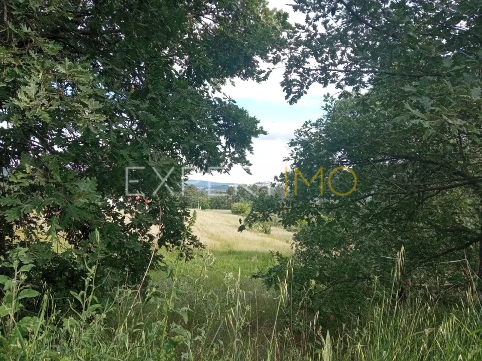 Quinta T2 para Venda em Gonçalo Foto 16