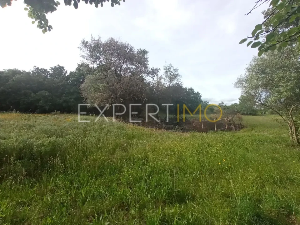 Quinta T2 para Venda em Gonçalo Foto 18