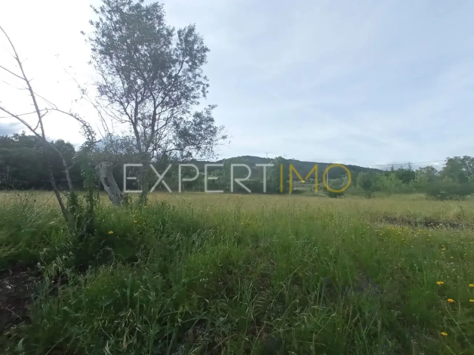 Quinta T2 para Venda em Gonçalo Foto 24